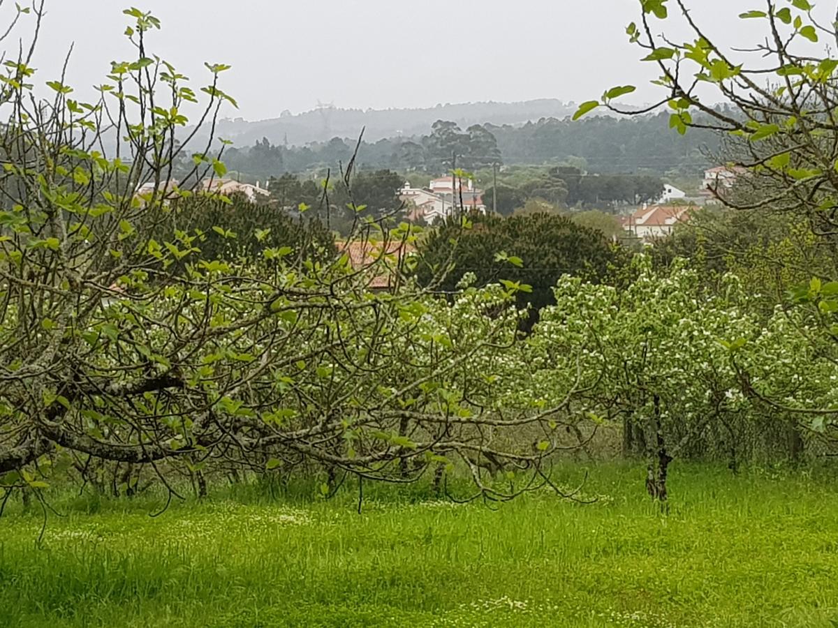 מלון פאטימה Casa Dos Tios מראה חיצוני תמונה