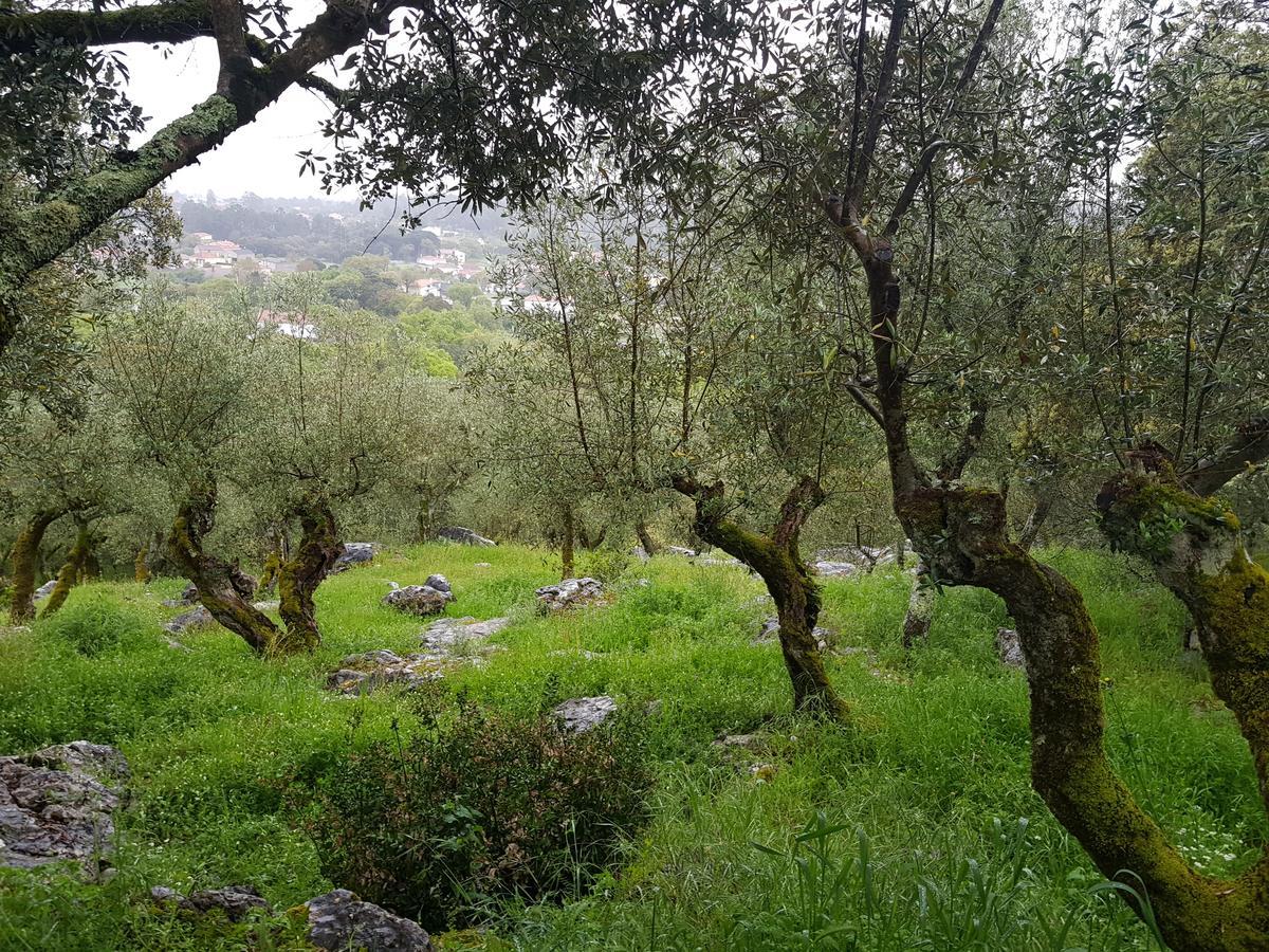מלון פאטימה Casa Dos Tios מראה חיצוני תמונה